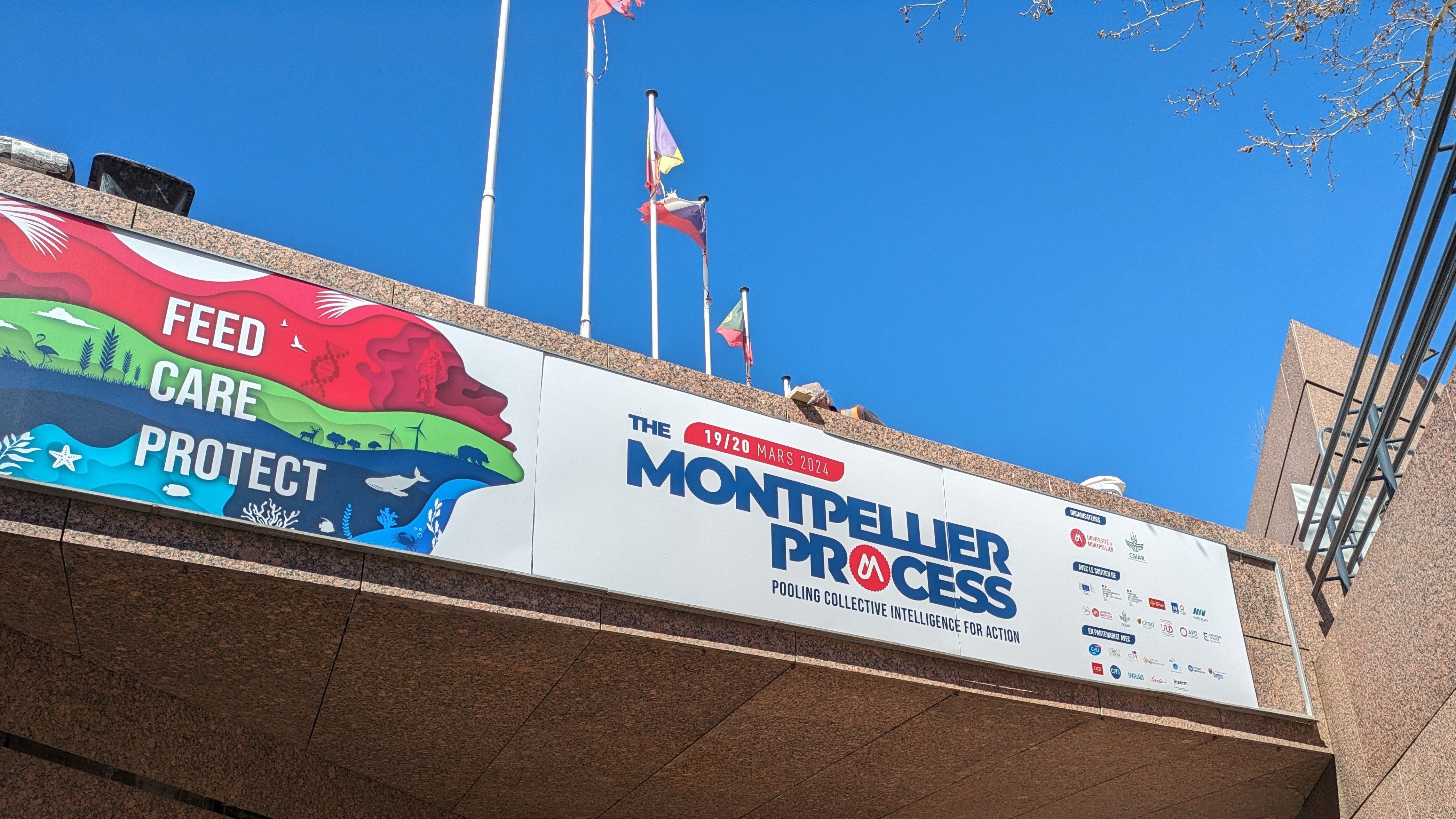 Montpellier process_HLPE