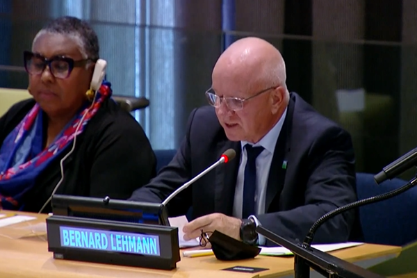 Chairperson of the HLPE-FSN Steering Committee, Mr Bernard Lehmann