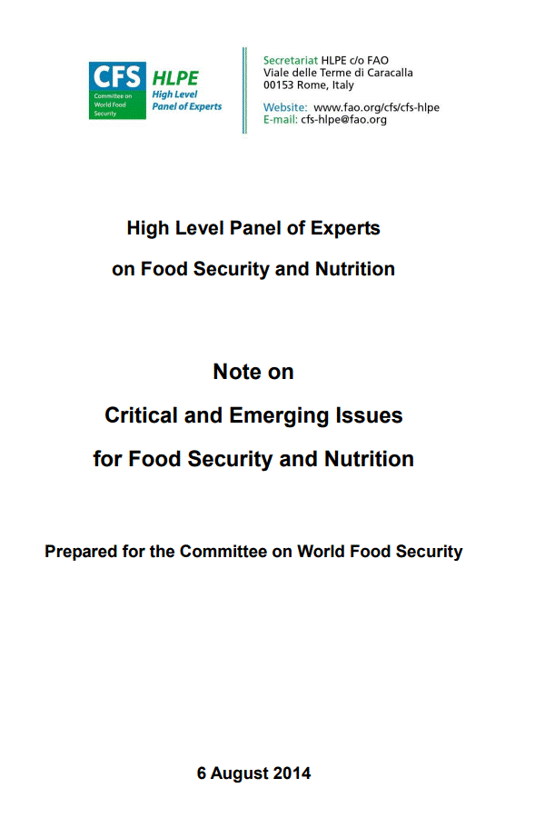 HLPE-FSN Note on critical and emerging issues for food security and nutrition