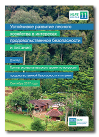 HLPE-report-11