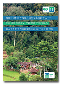 HLPE-report-11