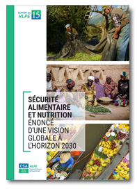 HLPE-FSN report cover