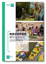 HLPE-FSN report cover