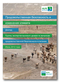 HLPE-report-3