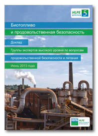 HLPE-report-5