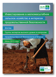 HLPE-report-6