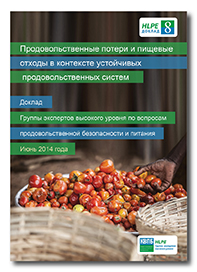 HLPE-report-8