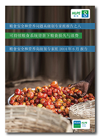 HLPE-report-8