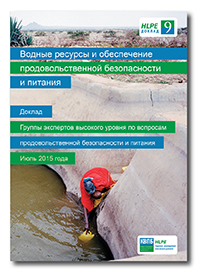 HLPE-report-9