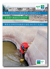 HLPE-report-9