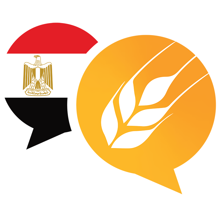 WFF Egypt Youth Chapter