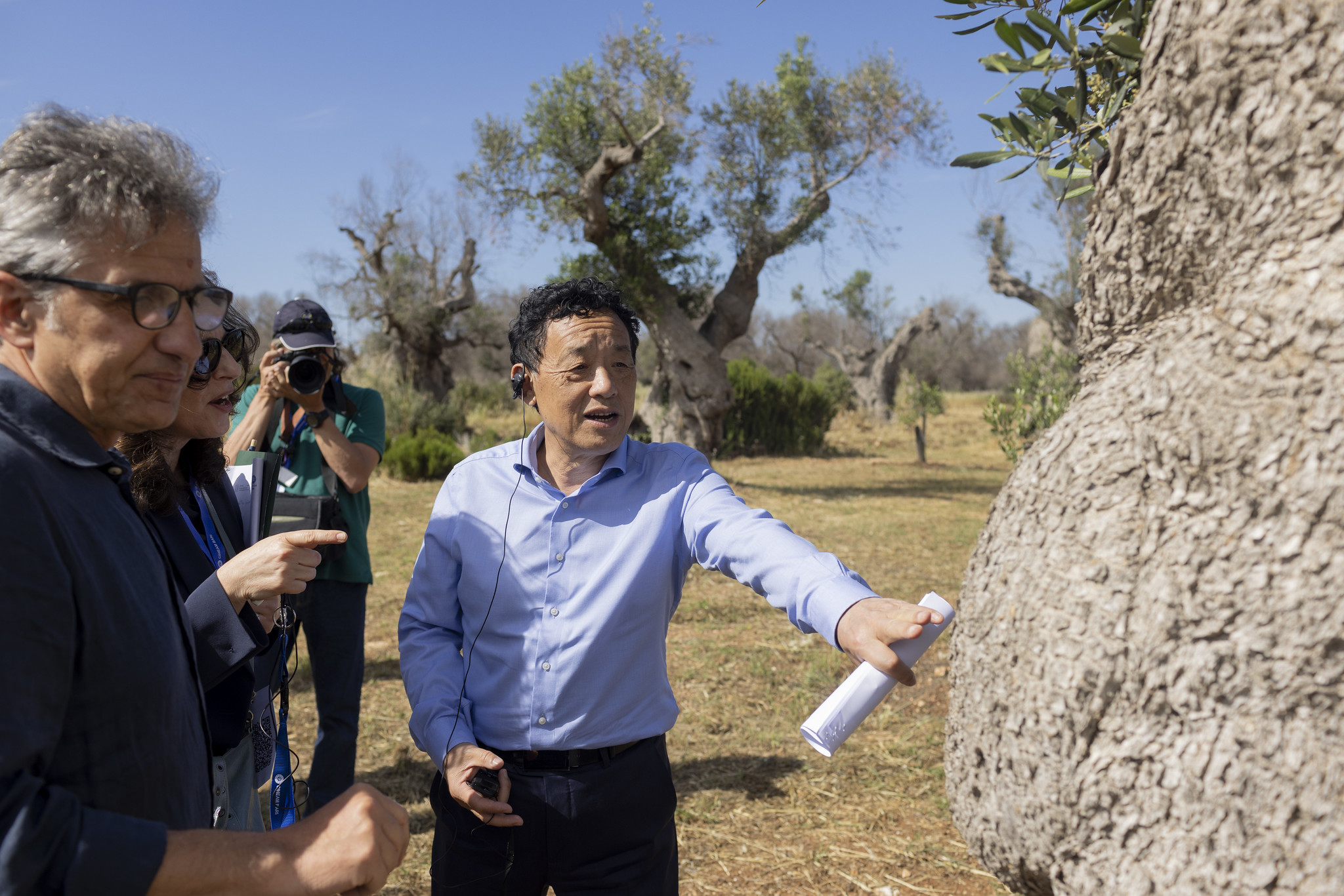 屈冬玉总干事考察受跨境植物病虫害影响的意大利橄榄树种植园 ©️FAO/Christian Mantuano