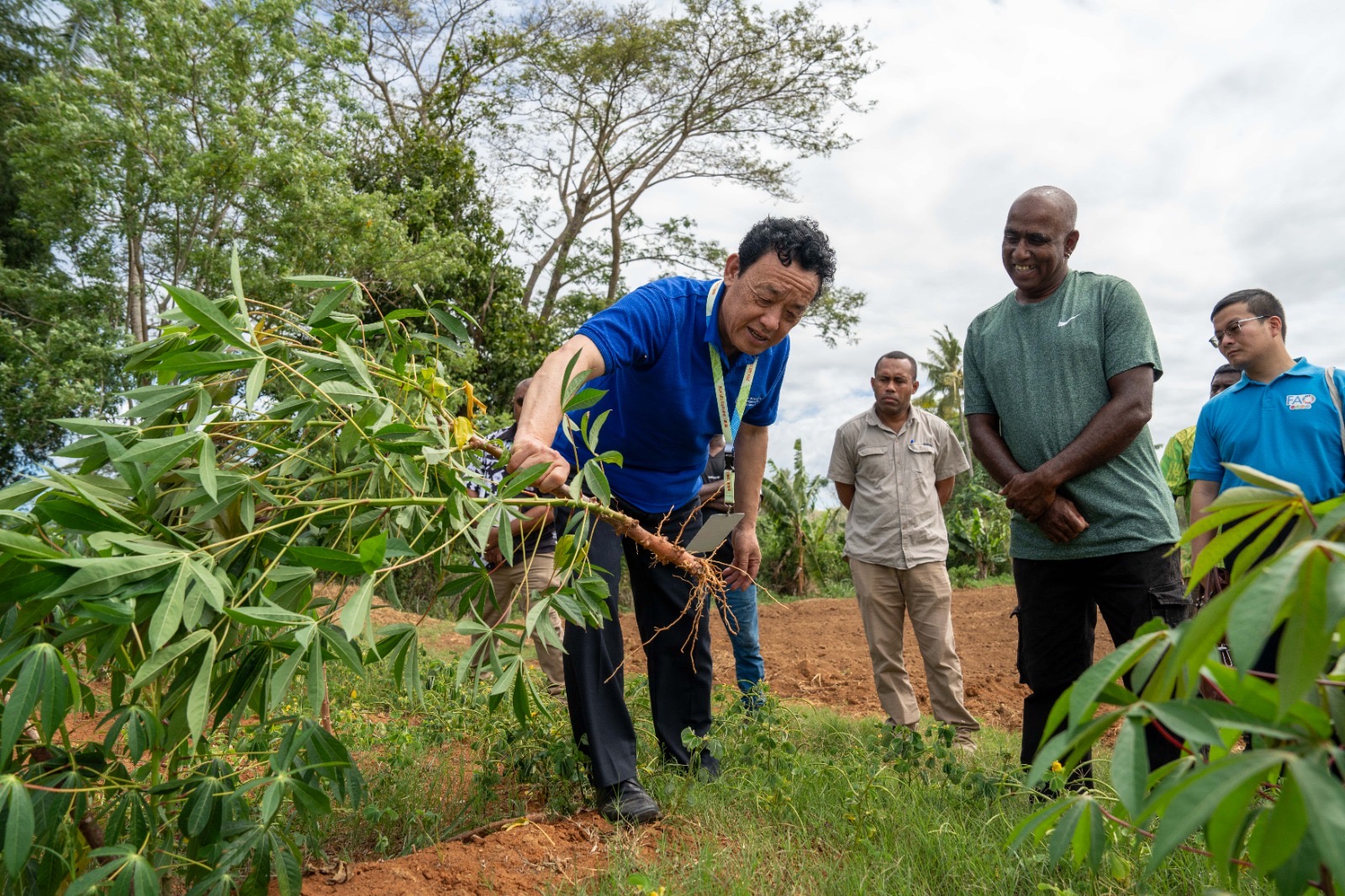 En Fiji, el Director General de la FAO visita explotaciones de caña de azúcar y el Centro de Demostración de Tecnología Juncao de China y los países insulares del Pacífico para el cultivo de hongos