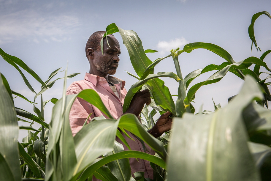 Africa’s New Harvest: Sustainable development by innovation for transformation