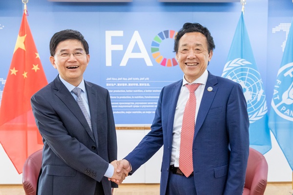 ©FAO/Giulio Napolitano