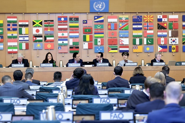 FAO/Giulio Napolitano