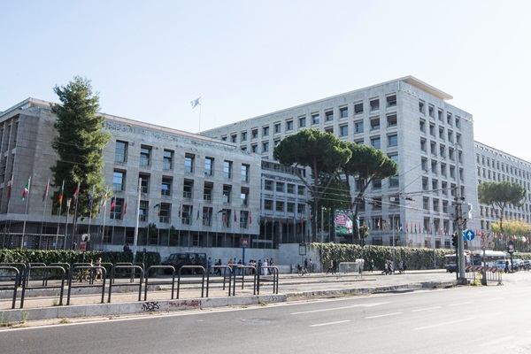 FAO_headquarters-RiccardoDeLuca2