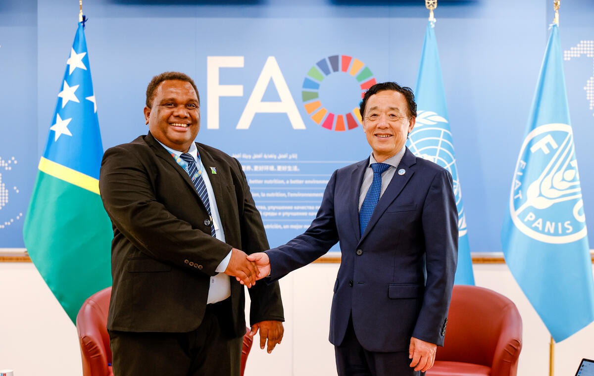 Reunión bilateral con el Excmo. Sr. Franklyn Derick Wasi, Ministro de Agricultura y Ganadería de las Islas Salomón