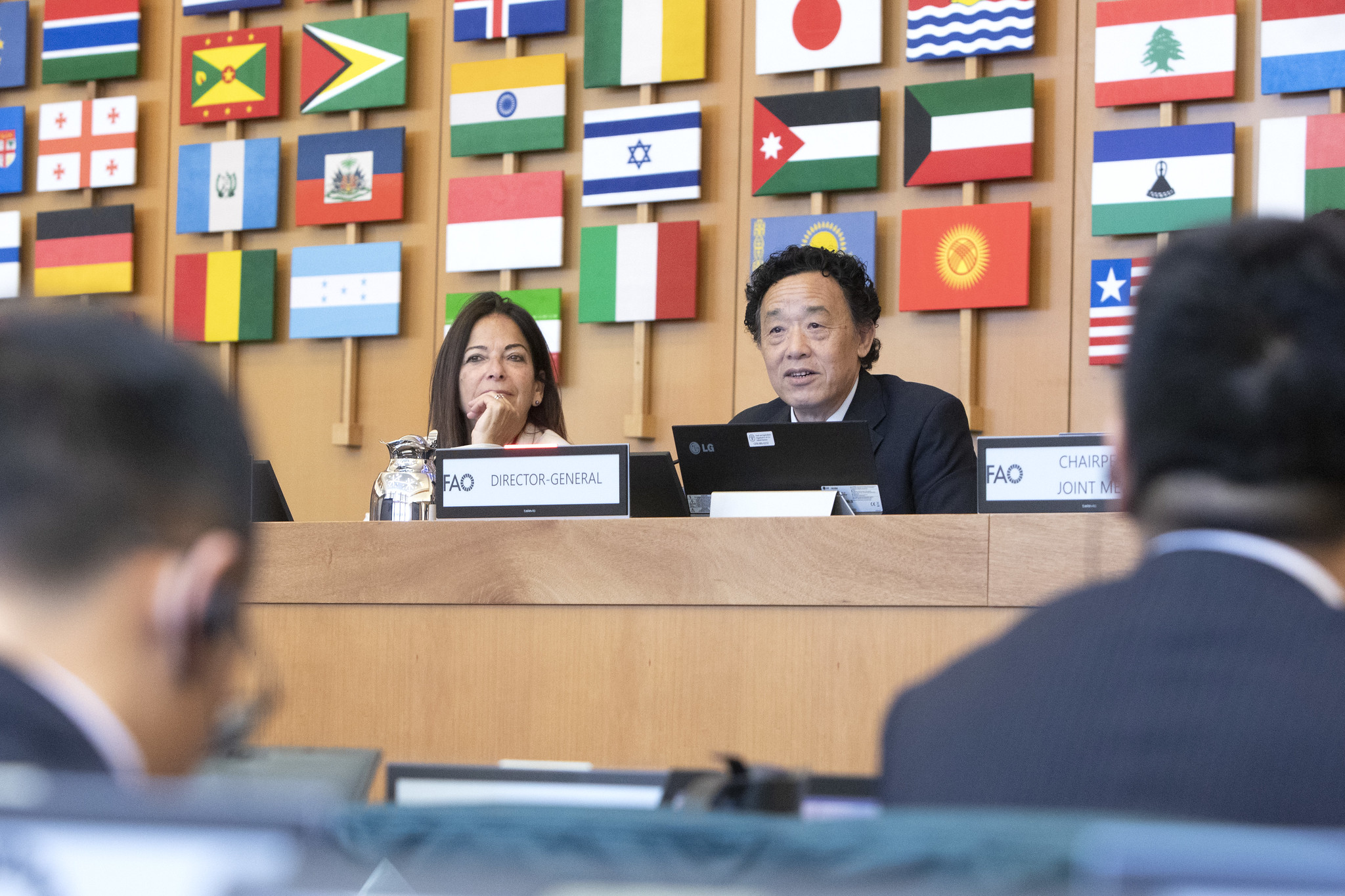 El Director General clausura la reunión conjunta del Comité del Programa y el Comité de Finanzas de la FAO