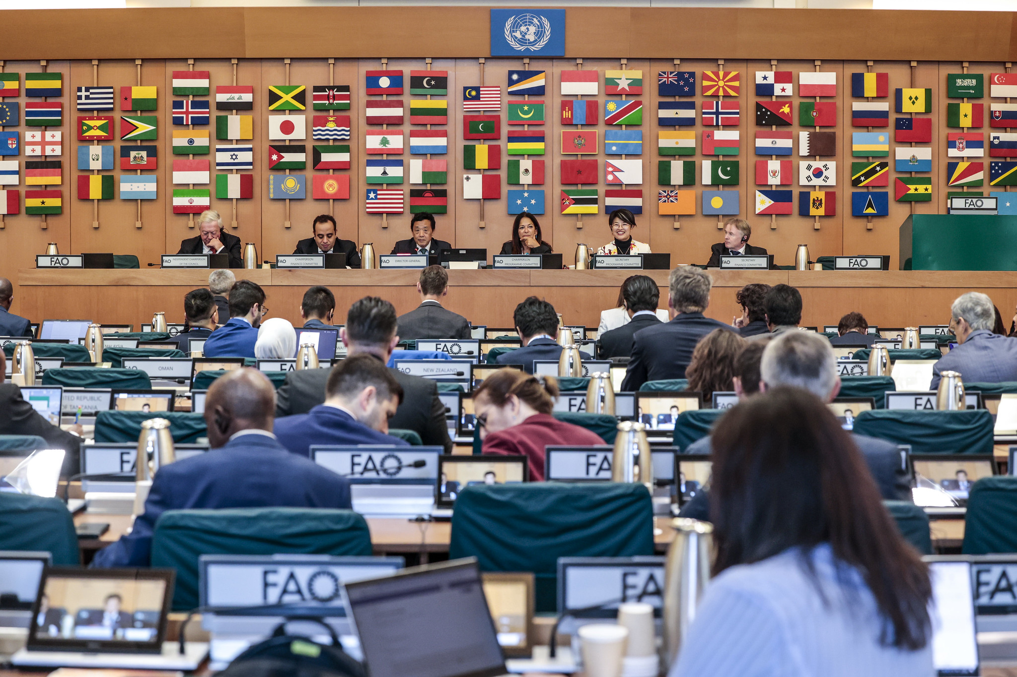 Director-General addresses the Joint Meeting of FAO Programme and Finance Committees