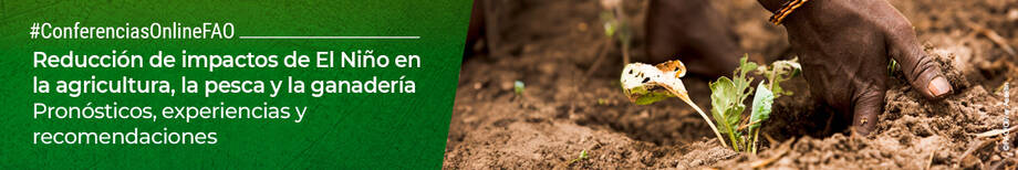 banner-web banner-web