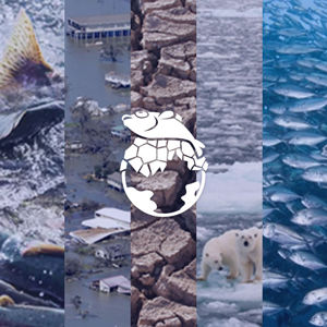 Adressing the climate change