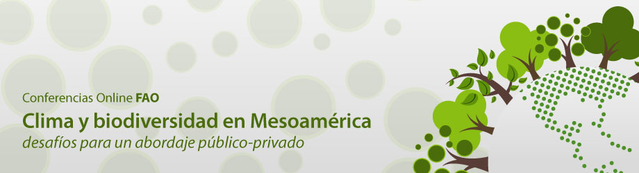 banner-web