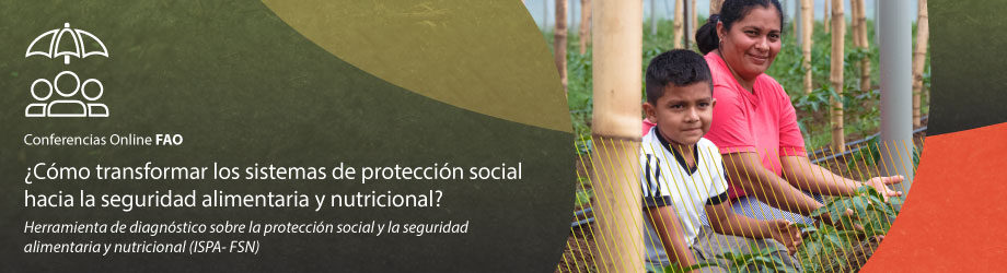 banner-web