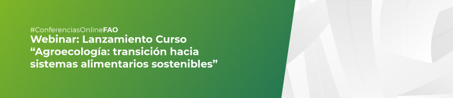 banner-web