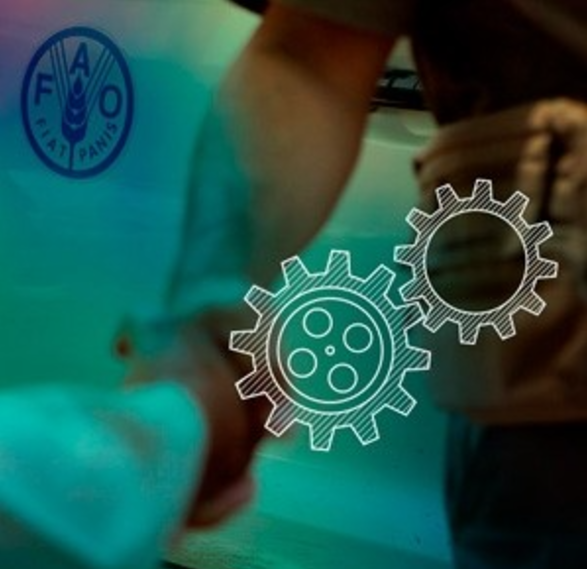 Introducción a inversiones y financiamiento para el desarrollo