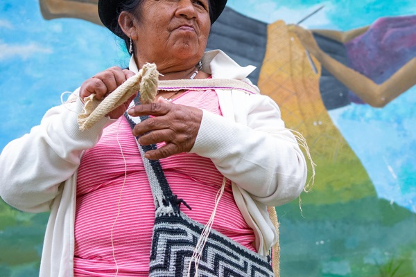 DSC06650_ficha