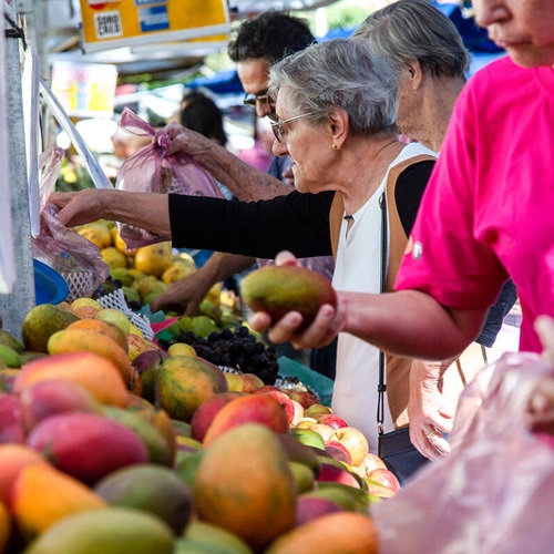 ficha-dietas-saludables
