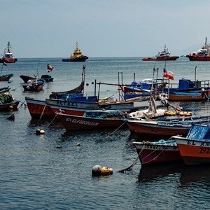 Introduction to Illegal Unreported and Unregulated (IUU) Fishing