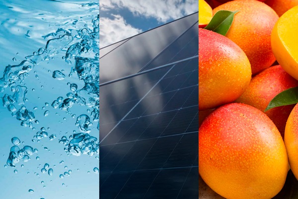 The Water, Energy, Food nexus