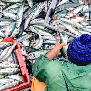 Introduction to Port State Measures Agreement