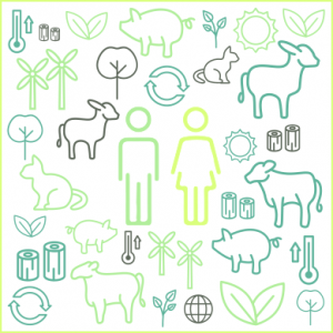 medium_1_medium_BiodiversidadS2