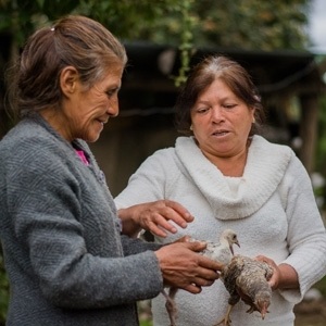 medium_1_medium_imagenCurso_subdere