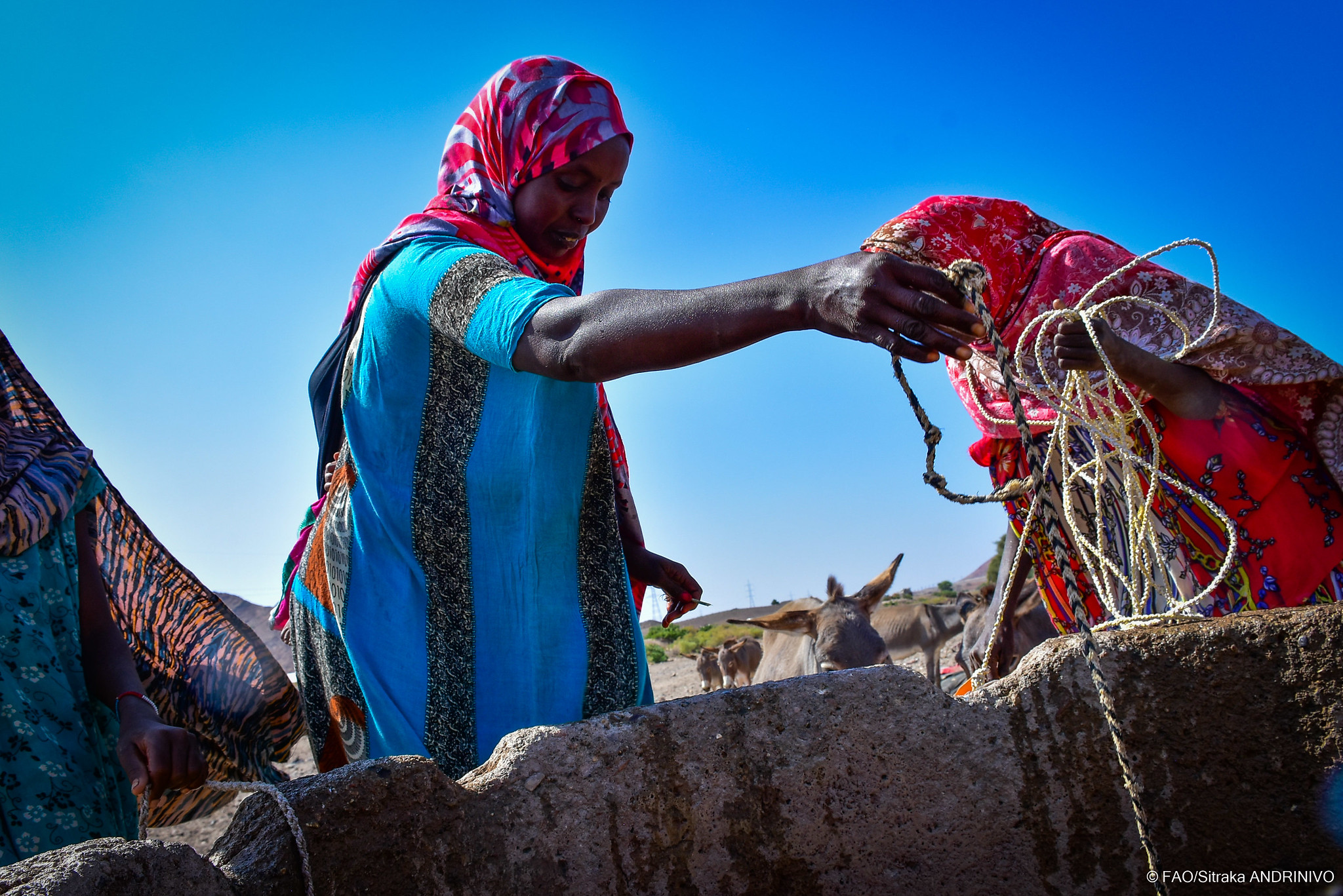 Djibouti Agribusiness Forum sets foundation for investment in key agrifood sectors