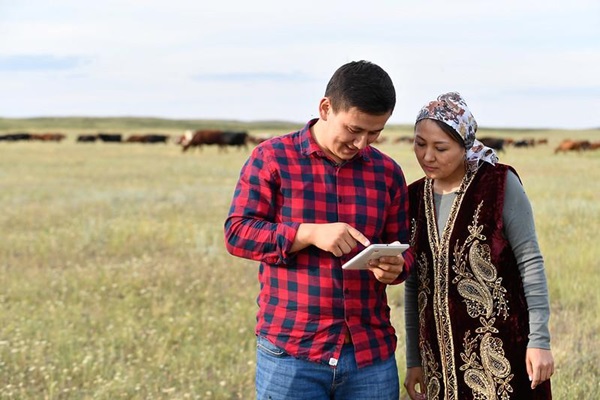 L’application Collect Mobile et le portail en ligne Smart Milk de la FAO contribuent à améliorer les moyens d’existence des agriculteurs.