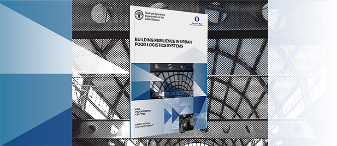 Feeding our cities: How the COVID-19 pandemic reshaped the movement of food in urban areas