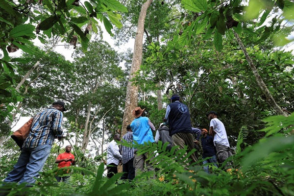 Cameroon-Cocoa study tour