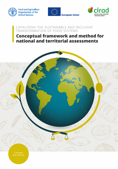 Conceptual framework_ENG
