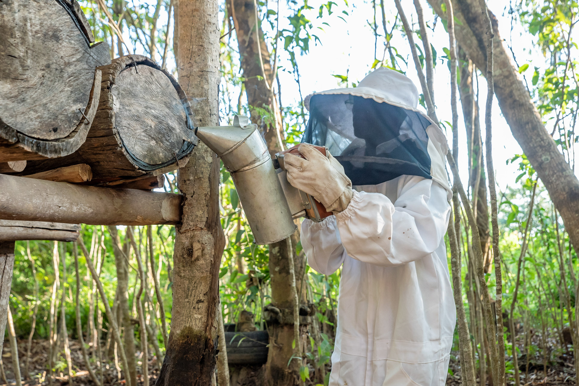 Transforming beekeeping in Kitui County, Kenya - Josephat’s Success Story