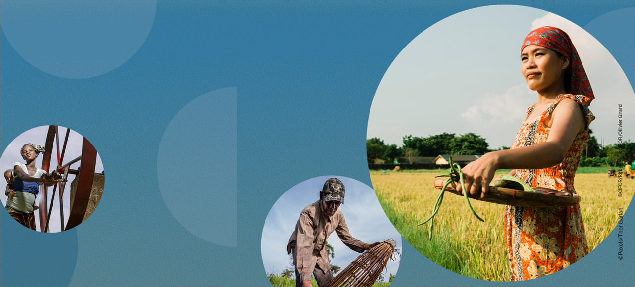 Agriculture Human Capital Investment Agriculture Human Capital Investment