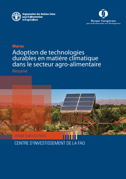 Maroc_publication