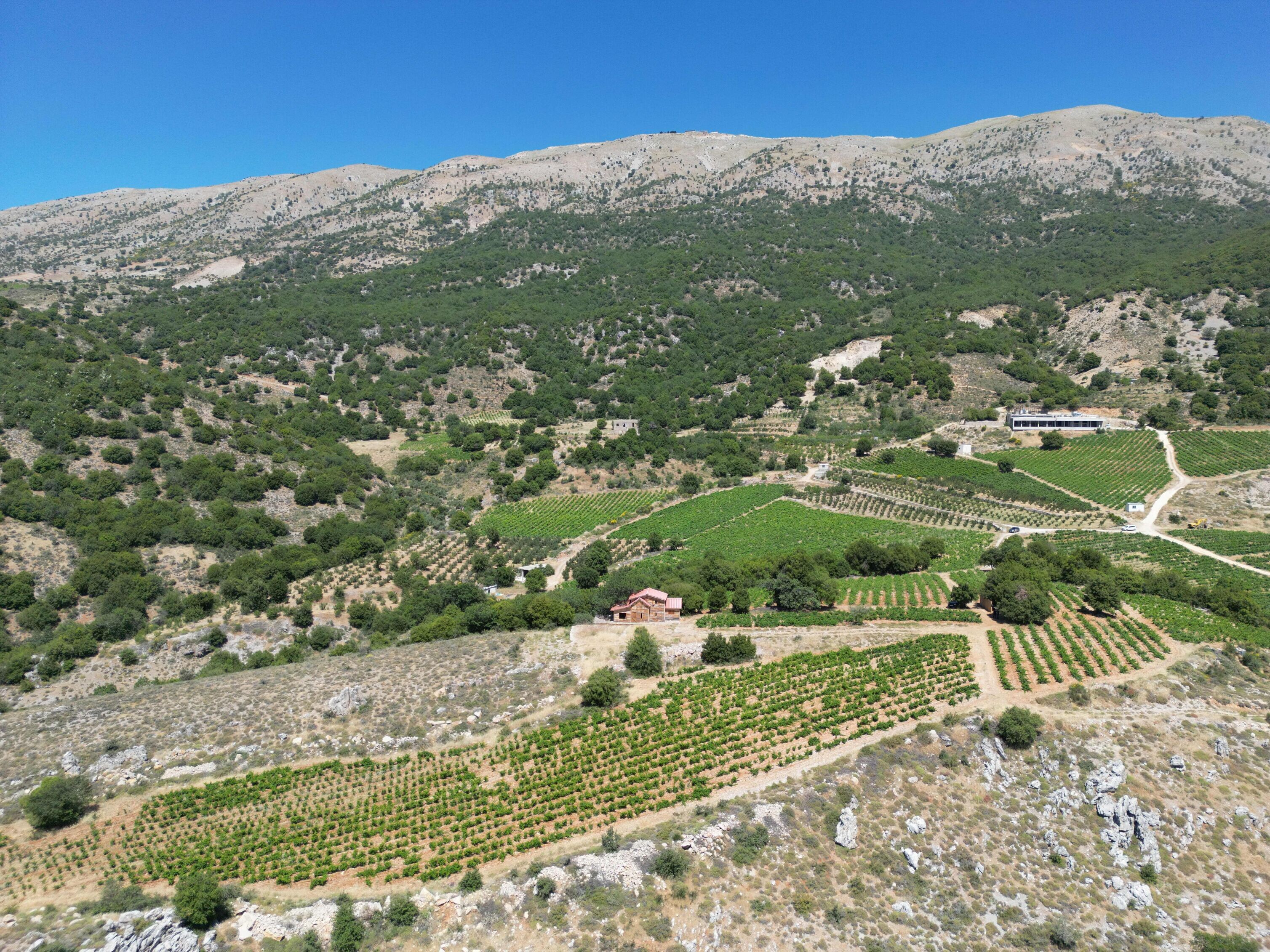 An integrated landscape approach to restore Lebanon’s Upper Litani Basin