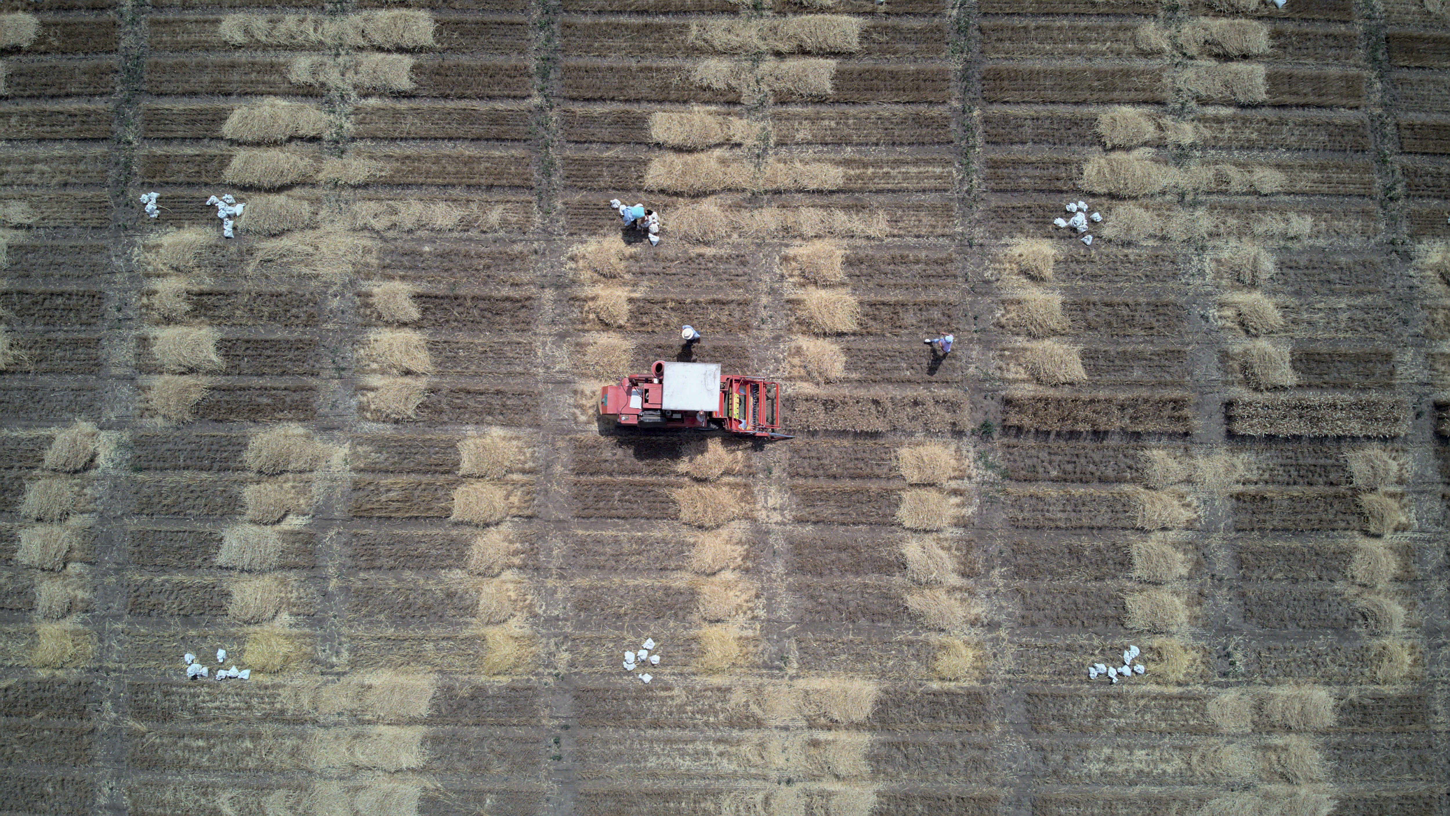 Serbia strengthens national expertise in carbon accounting for agrifood systems