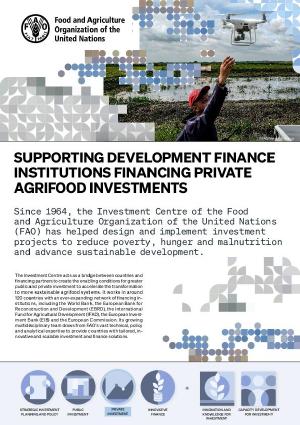 Supporting development finance institutions financing private agrifood investments
