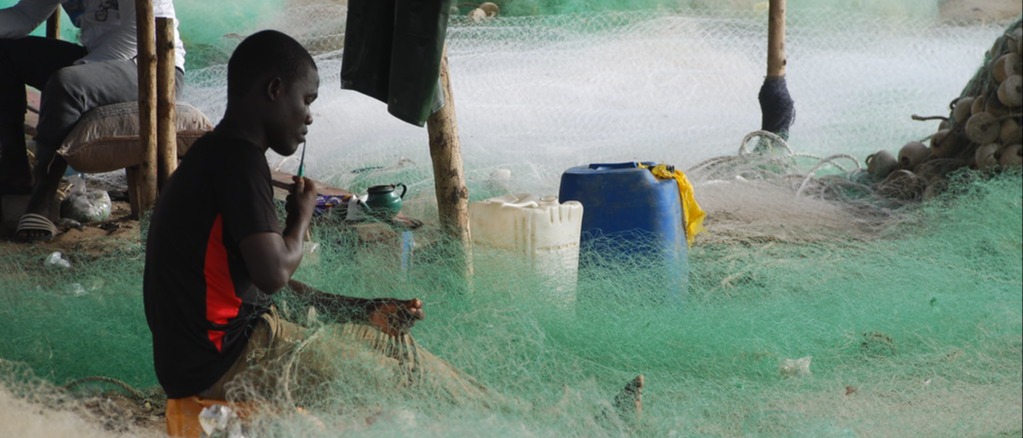 Sustainable fisheries in the Gambia