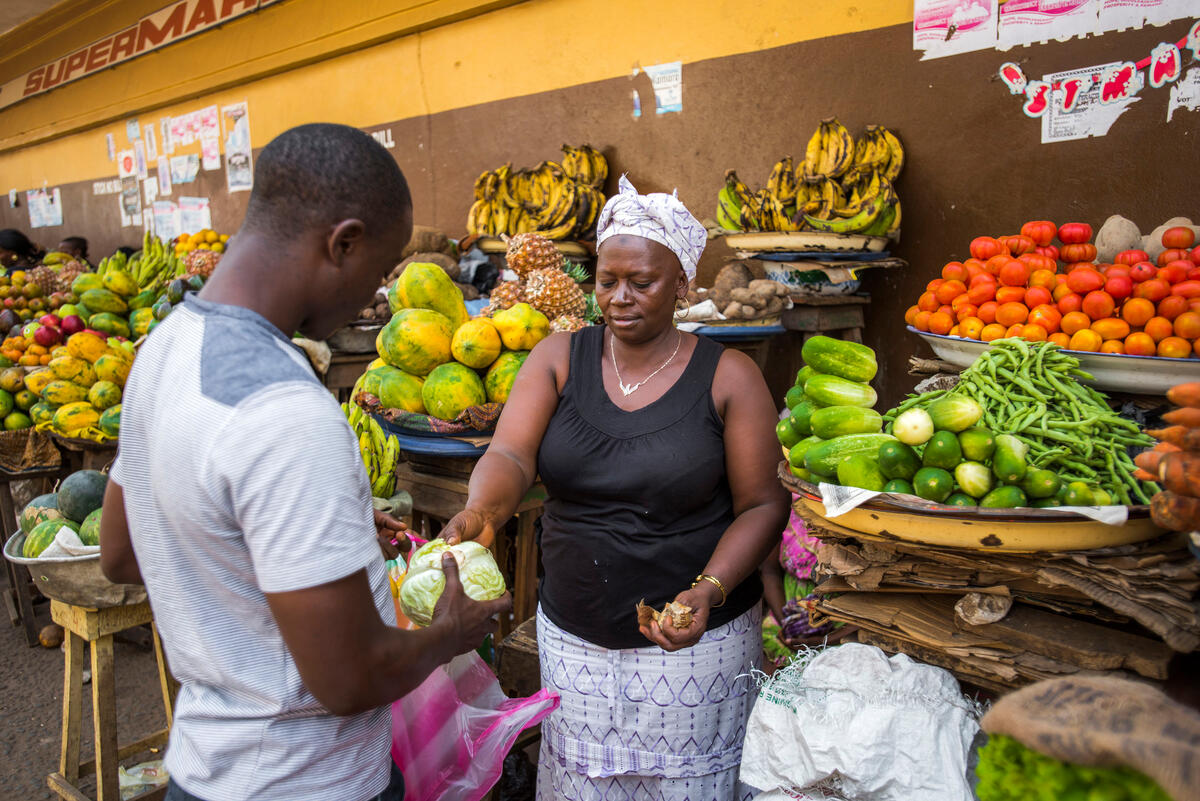 Agrifood system stakeholders committed to concrete action to implement and achieve Feed Salone Pillar 3 in Sierra Leone